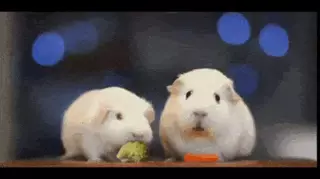 existential-hamster