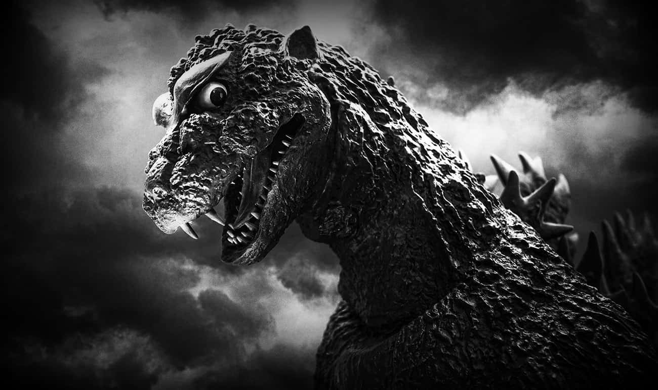 epic gojira fanboy